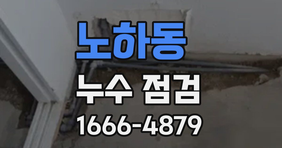 노하동 누수 점검