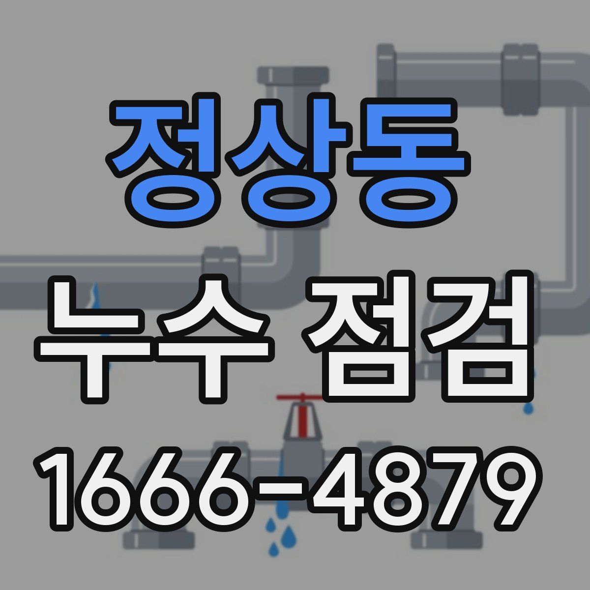 정상동 누수 점검