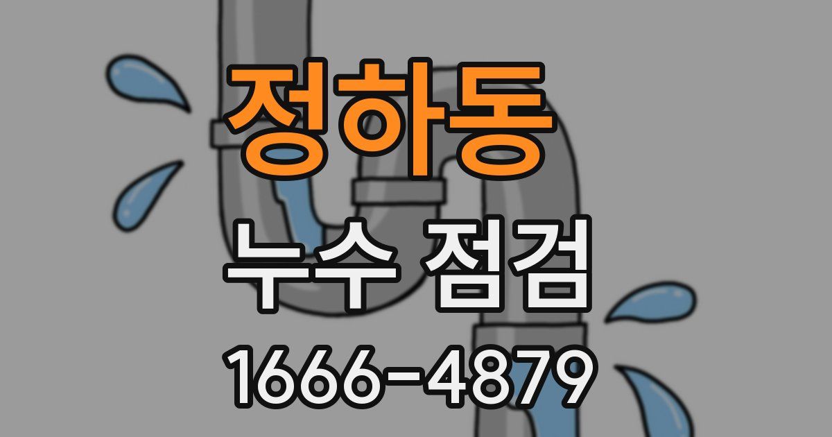 정하동 누수 점검
