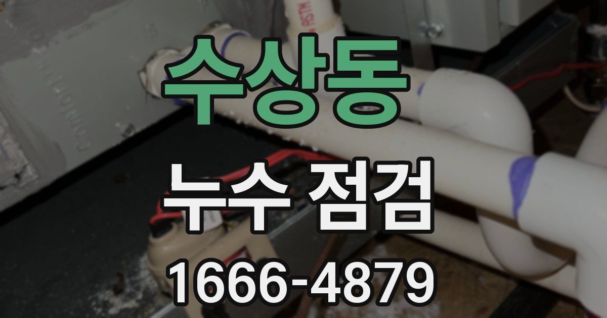 수상동 누수 점검