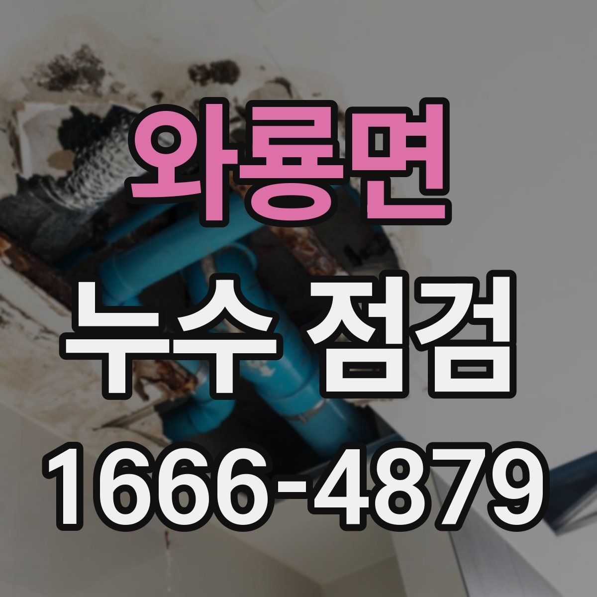 와룡면 누수 점검