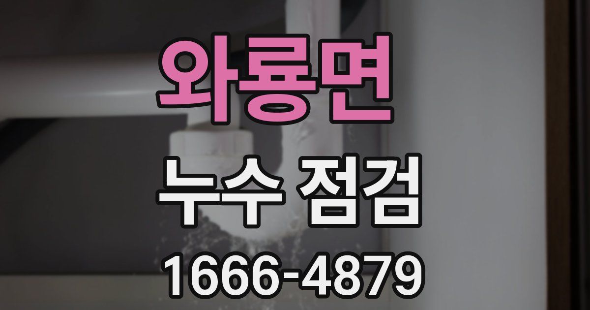 와룡면 누수 점검