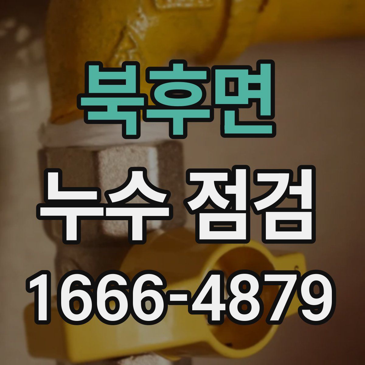 북후면 누수 점검