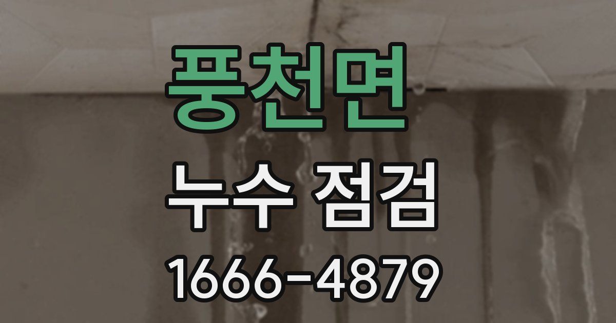 풍천면 누수 점검