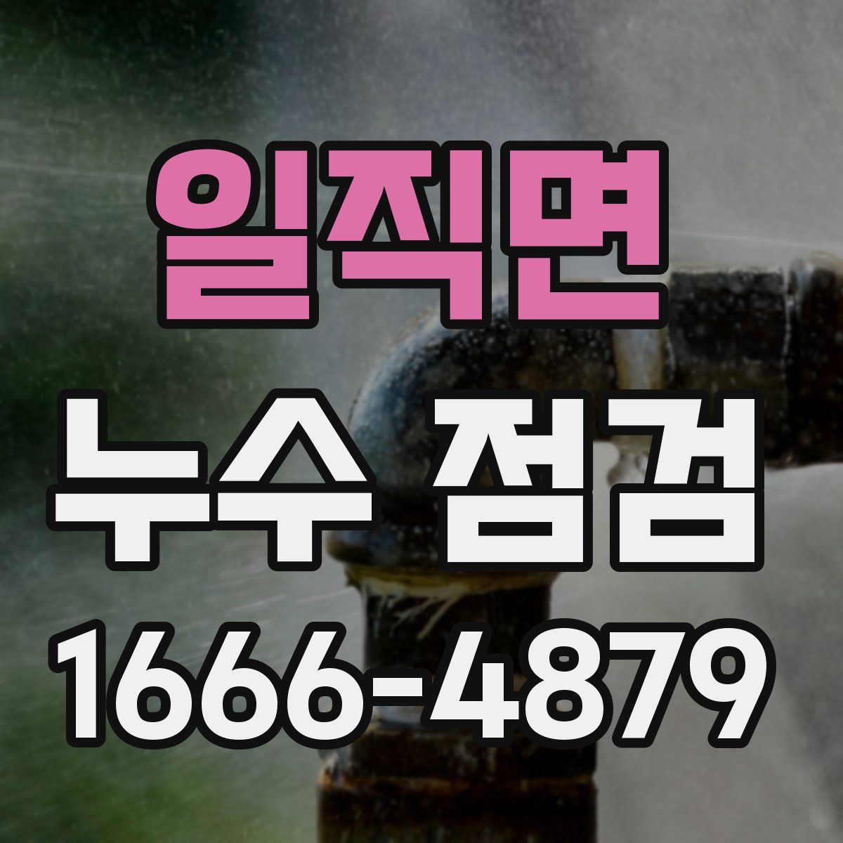 일직면 누수 점검