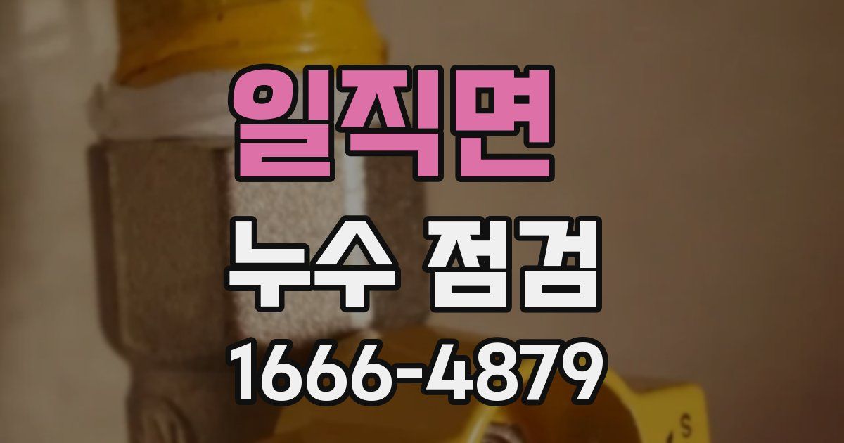 일직면 누수 점검