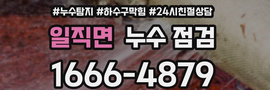 일직면 누수 점검
