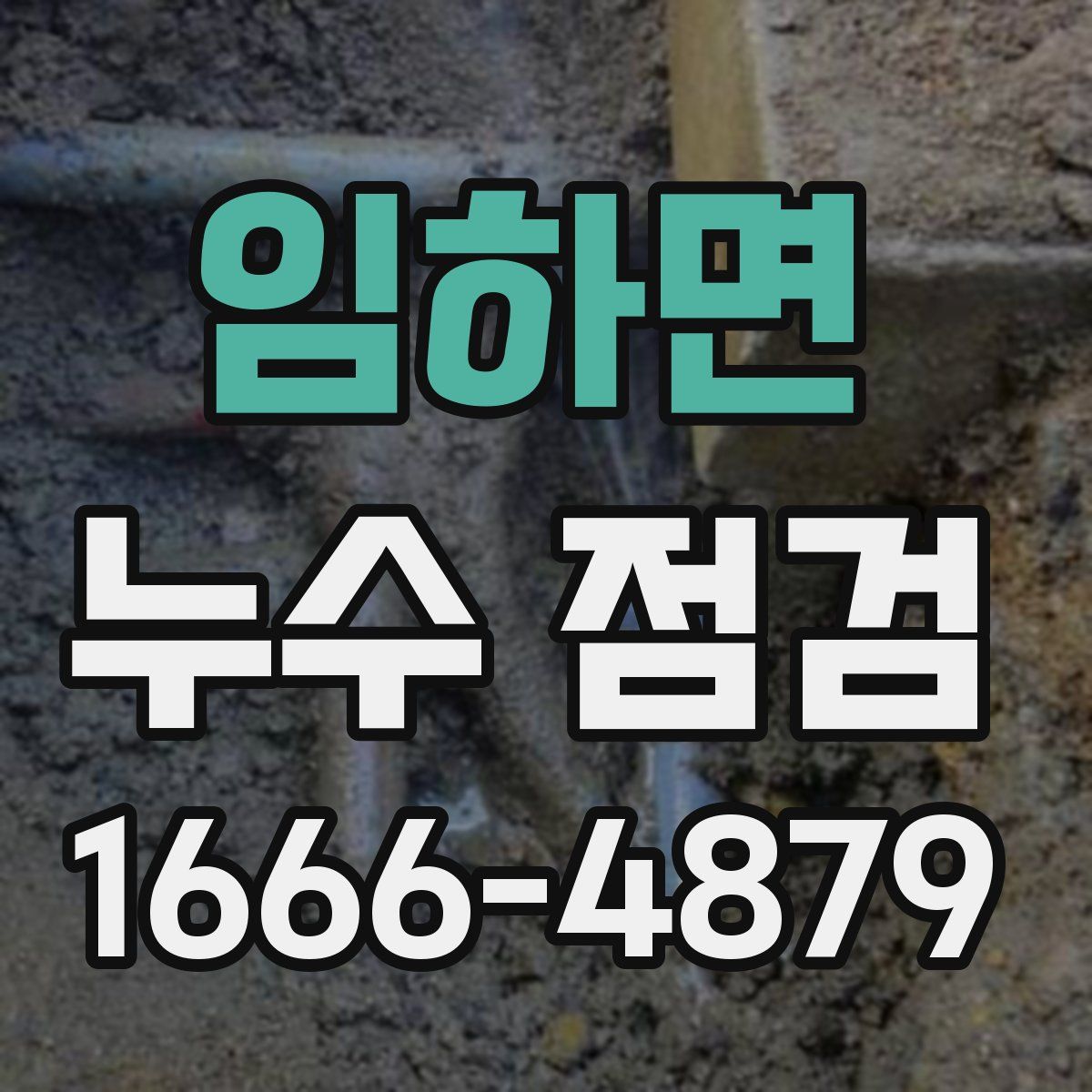 임하면 누수 점검