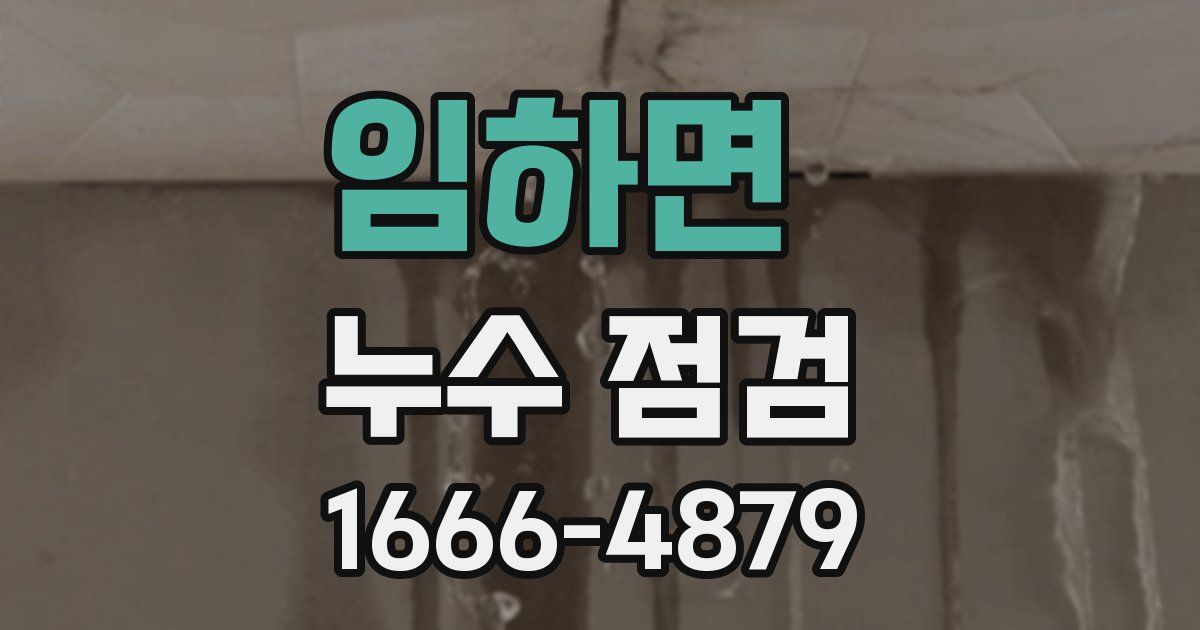 임하면 누수 점검