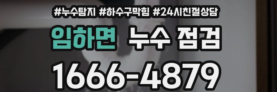 임하면 누수 점검