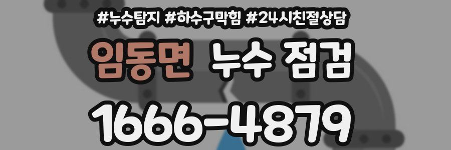 임동면 누수 점검