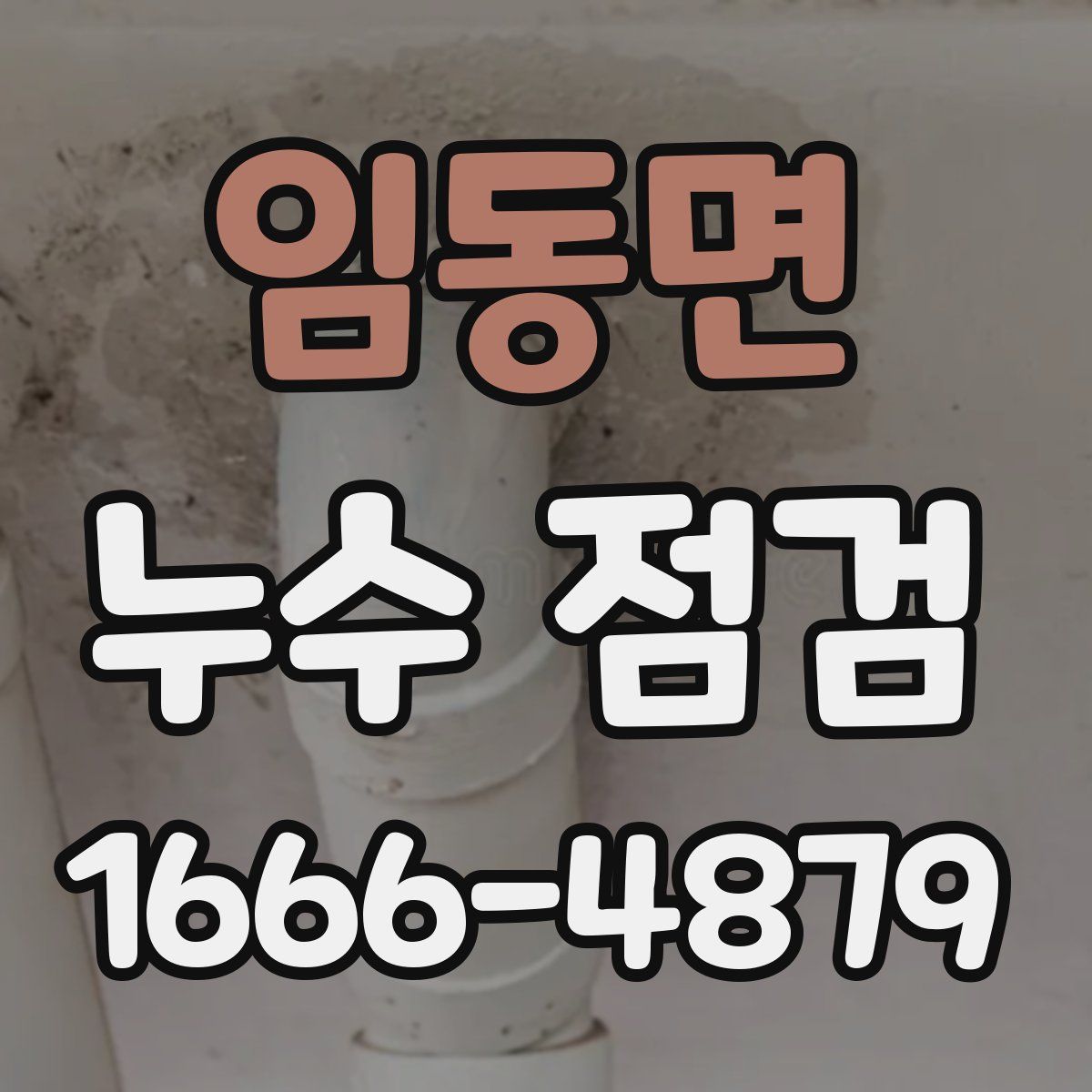임동면 누수 점검