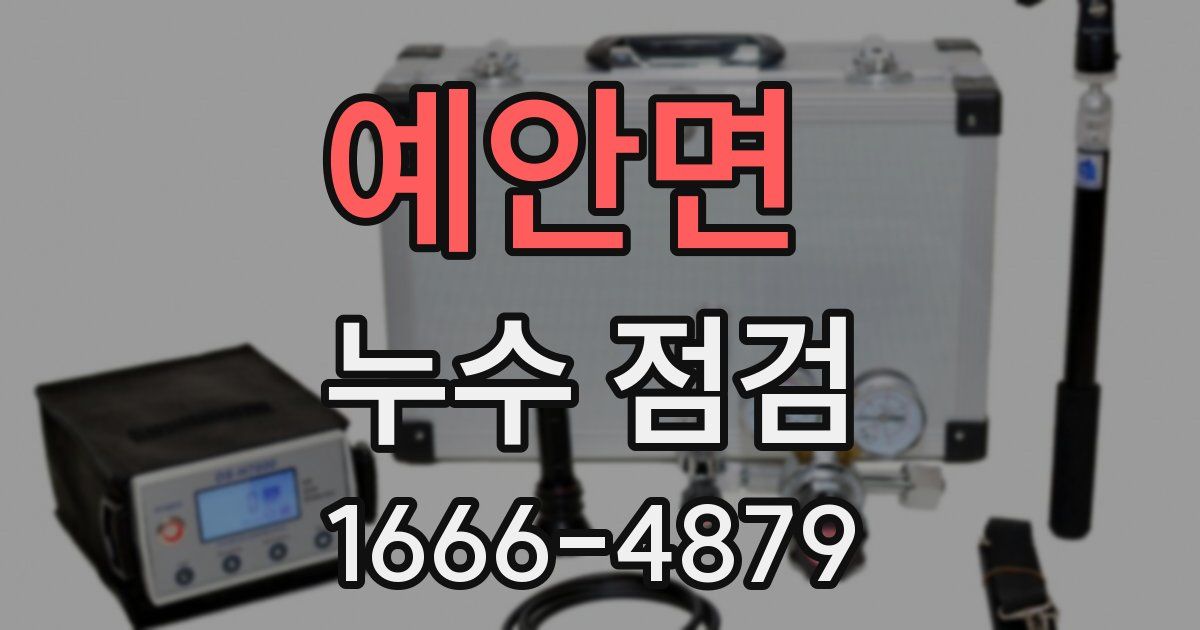 예안면 누수 점검