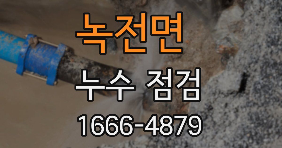 녹전면 누수 점검