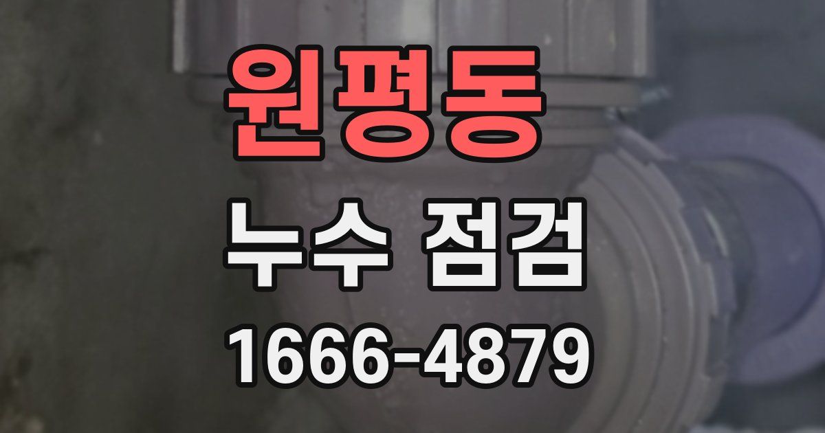 원평동 누수 점검