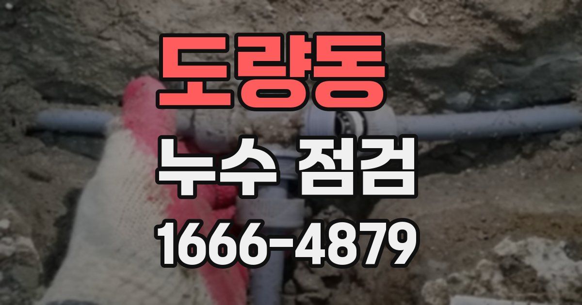 도량동 누수 점검