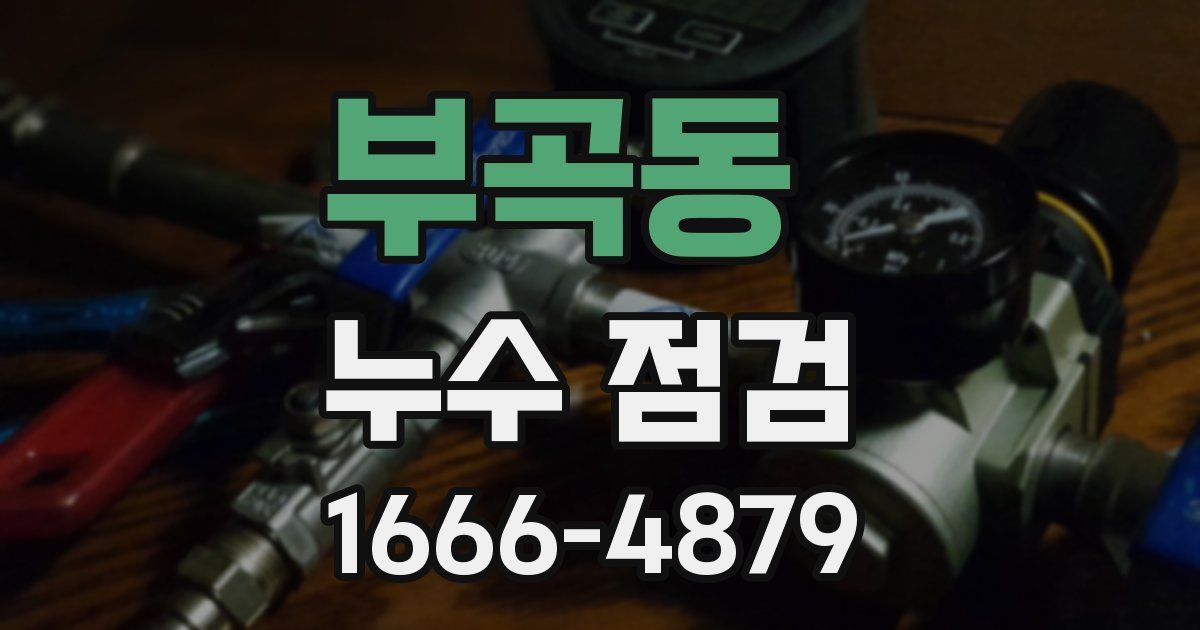 부곡동 누수 점검