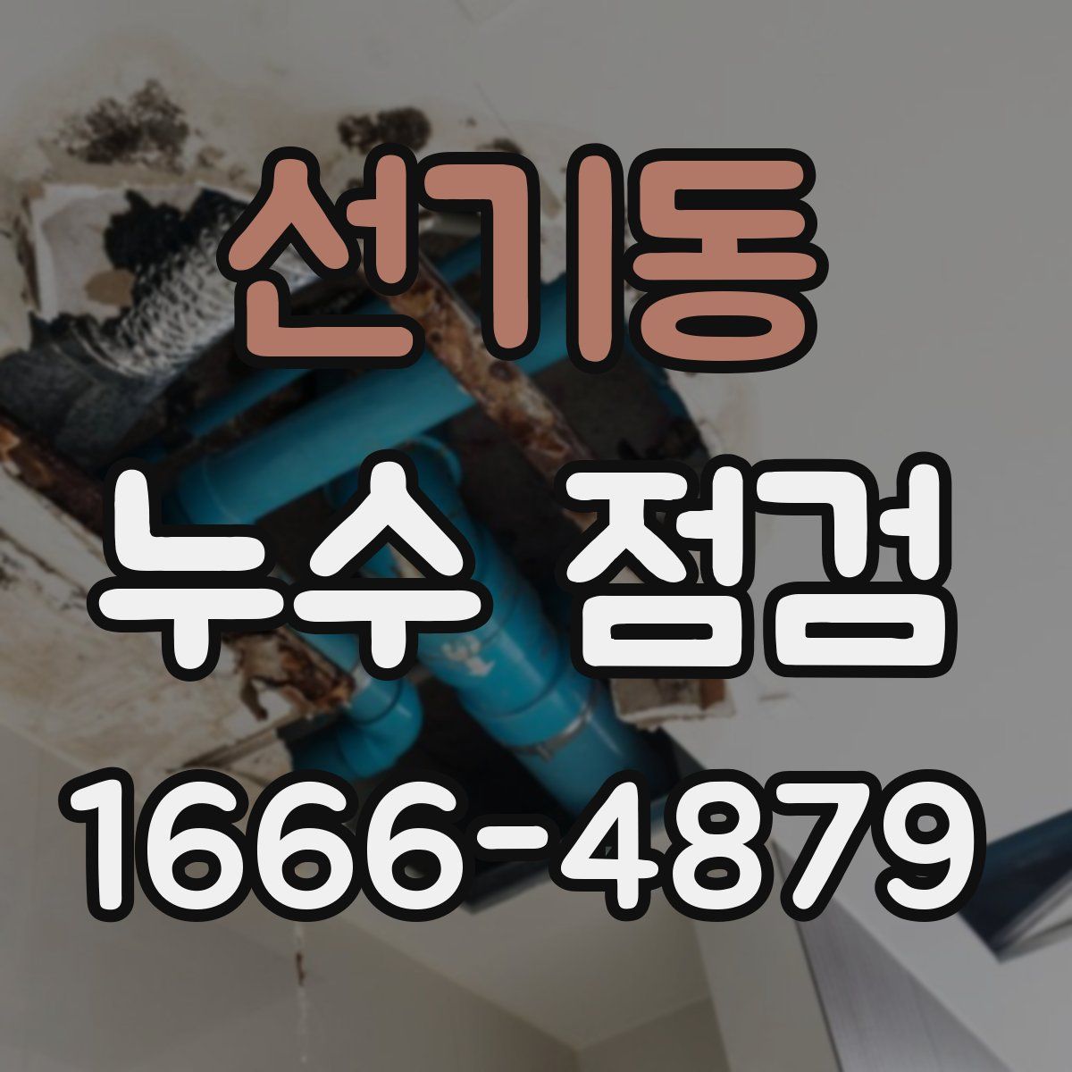 선기동 누수 점검