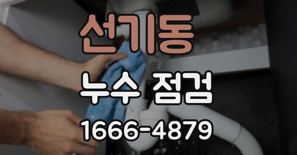 선기동 누수 점검