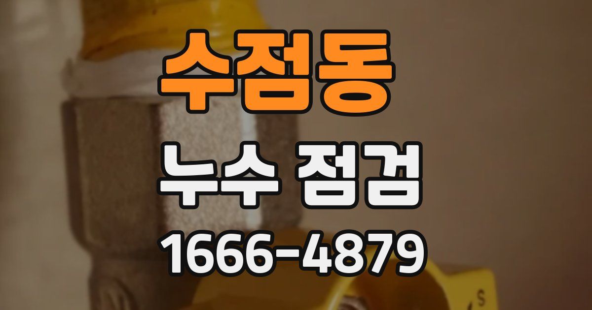 수점동 누수 점검