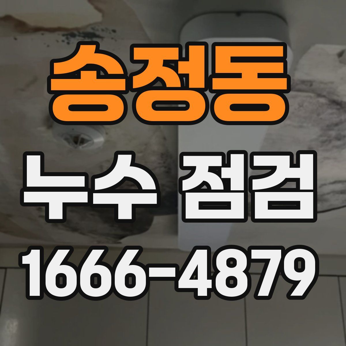 송정동 누수 점검