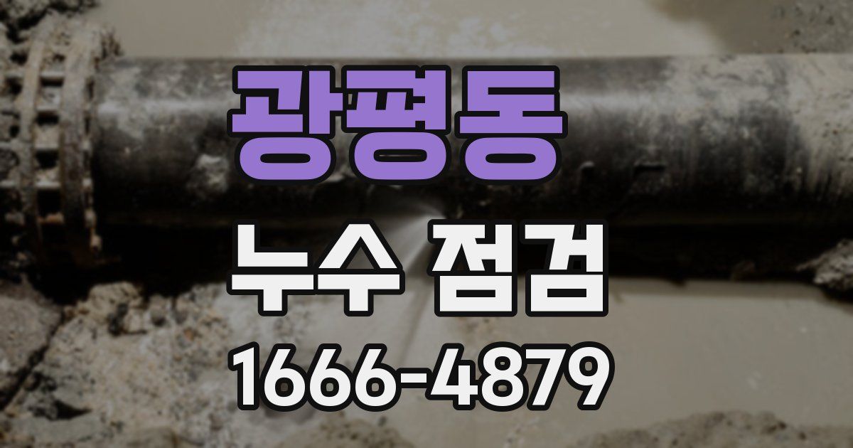 광평동 누수 점검