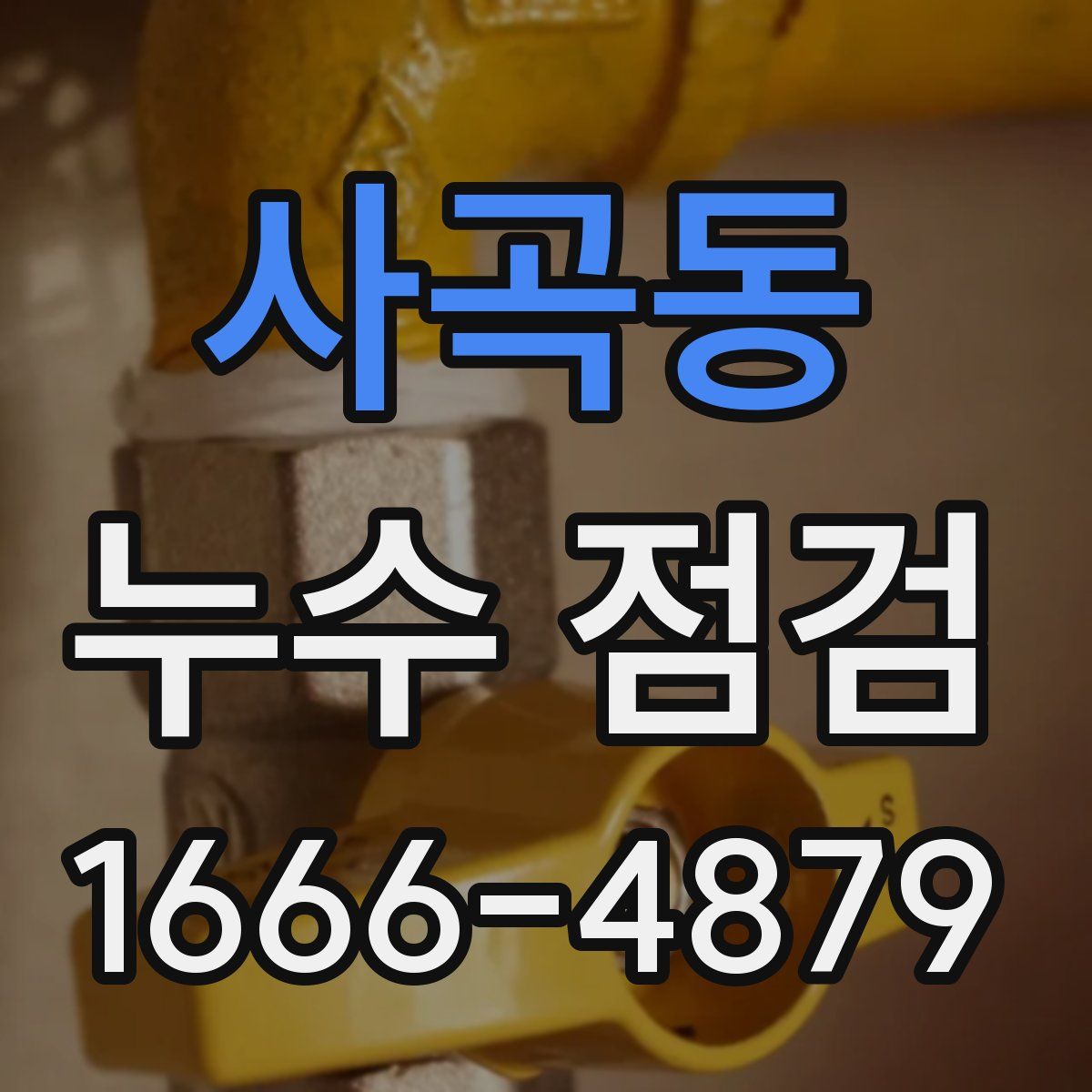 사곡동 누수 점검