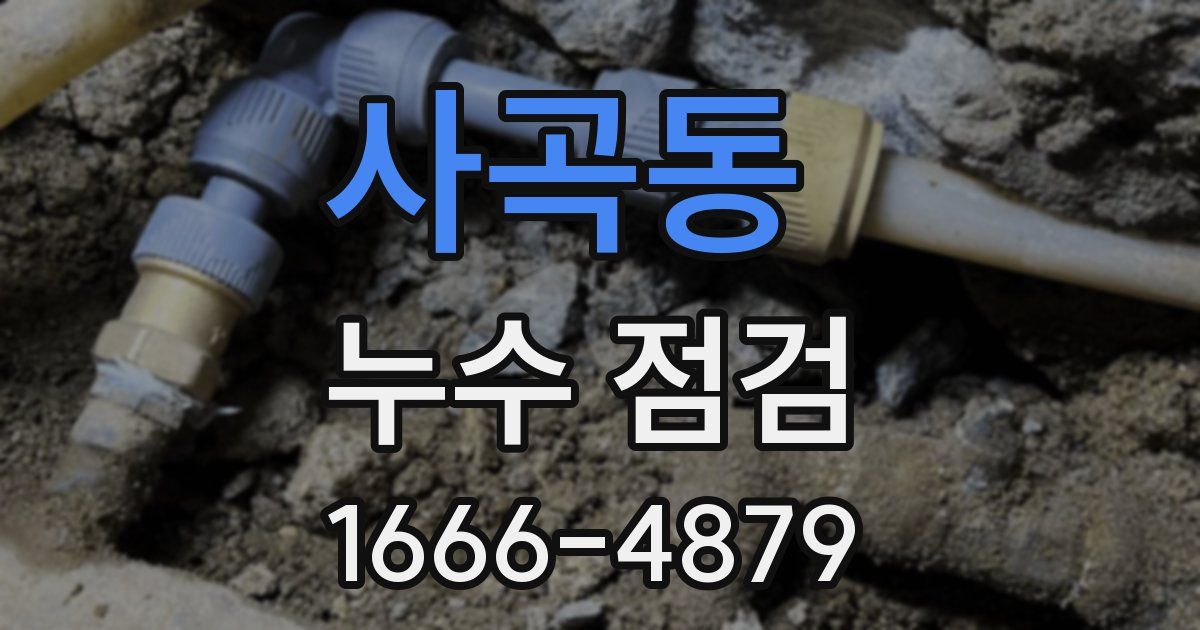 사곡동 누수 점검