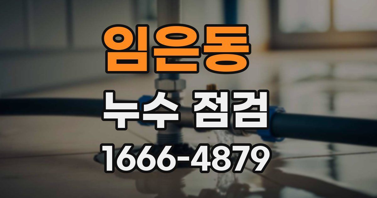 임은동 누수 점검