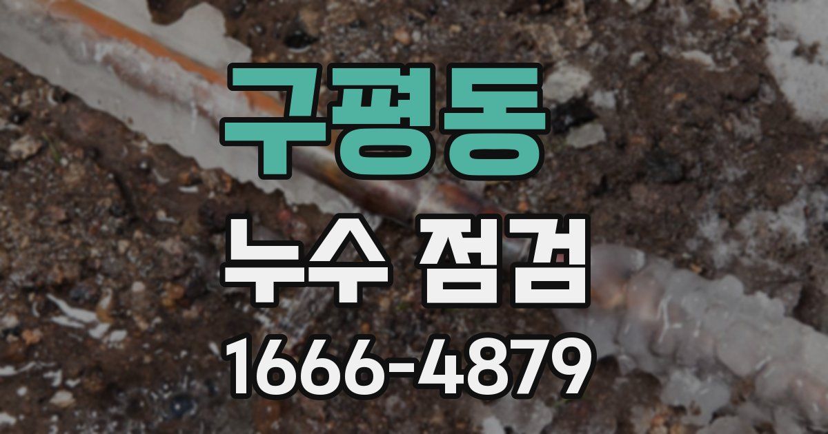 구평동 누수 점검
