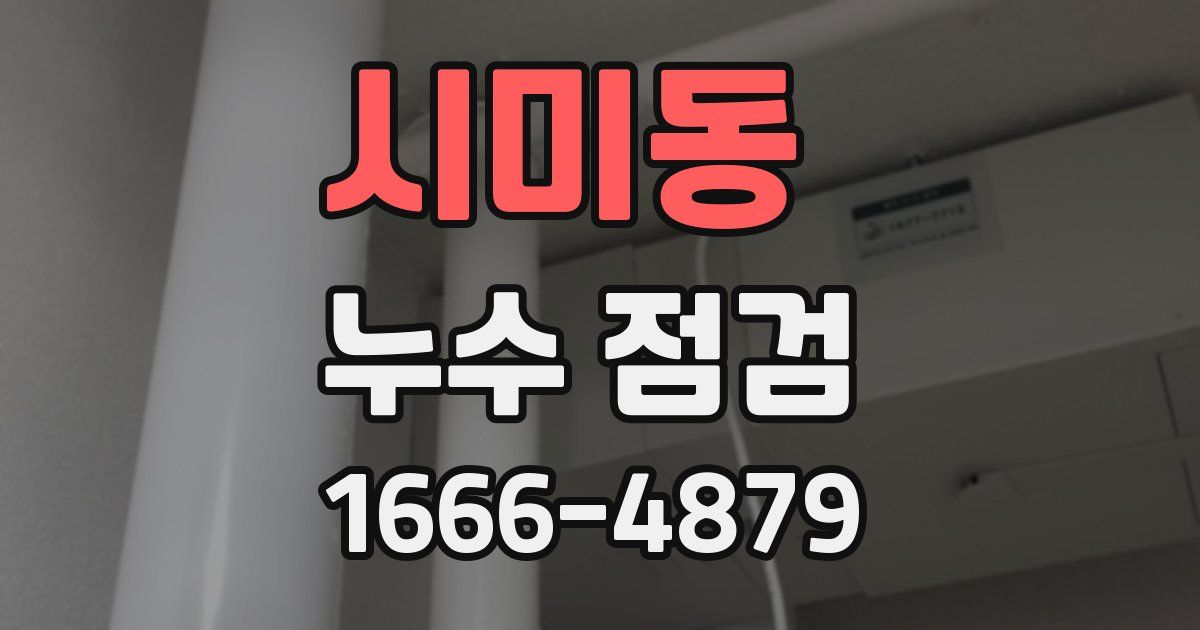 시미동 누수 점검