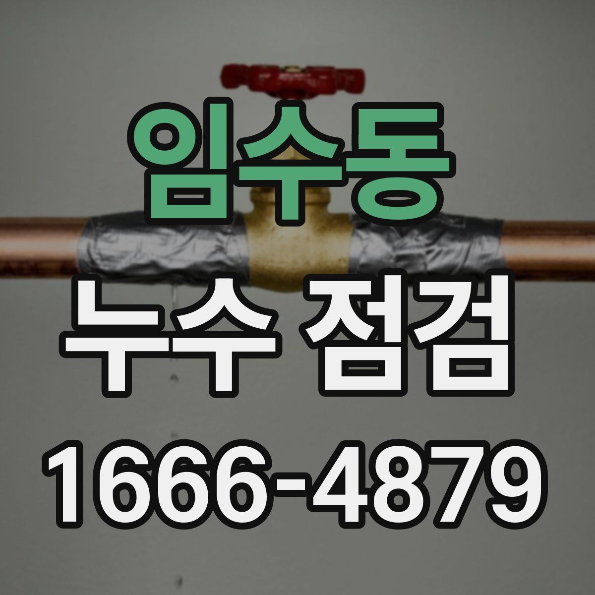 임수동 누수 점검