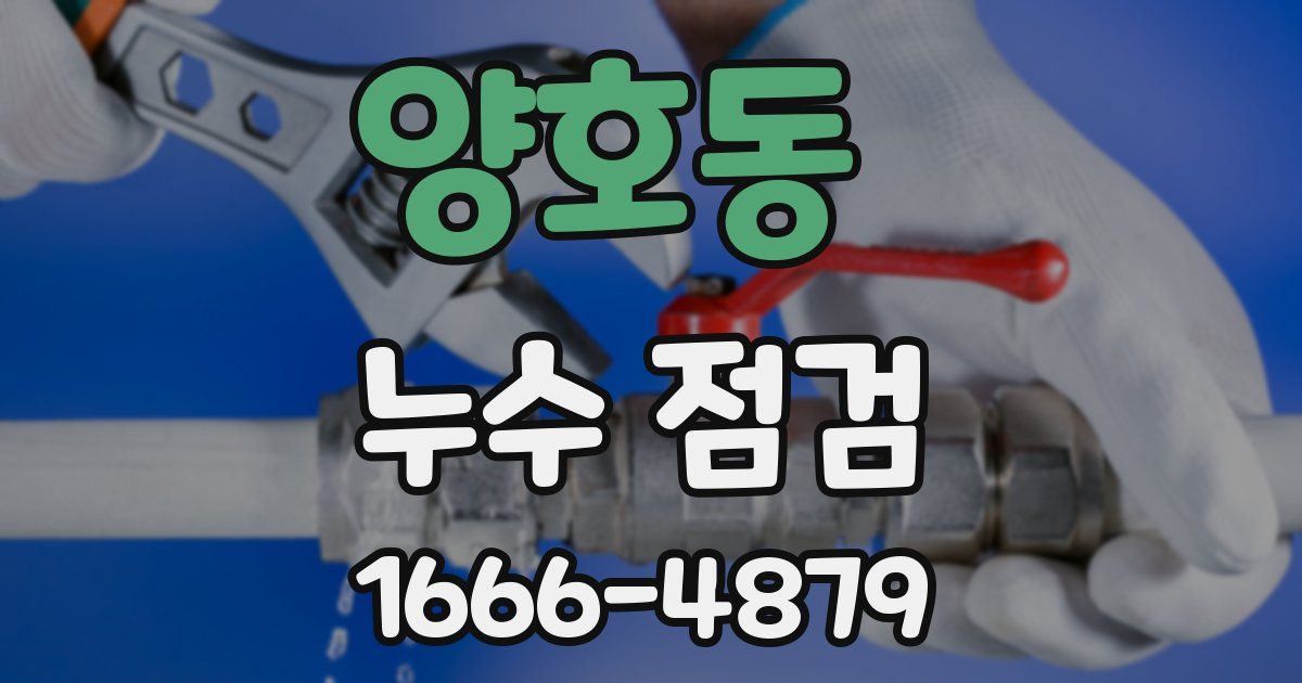 양호동 누수 점검
