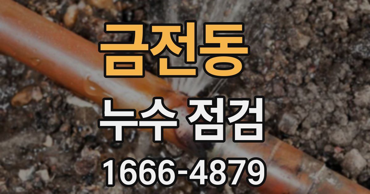 금전동 누수 점검