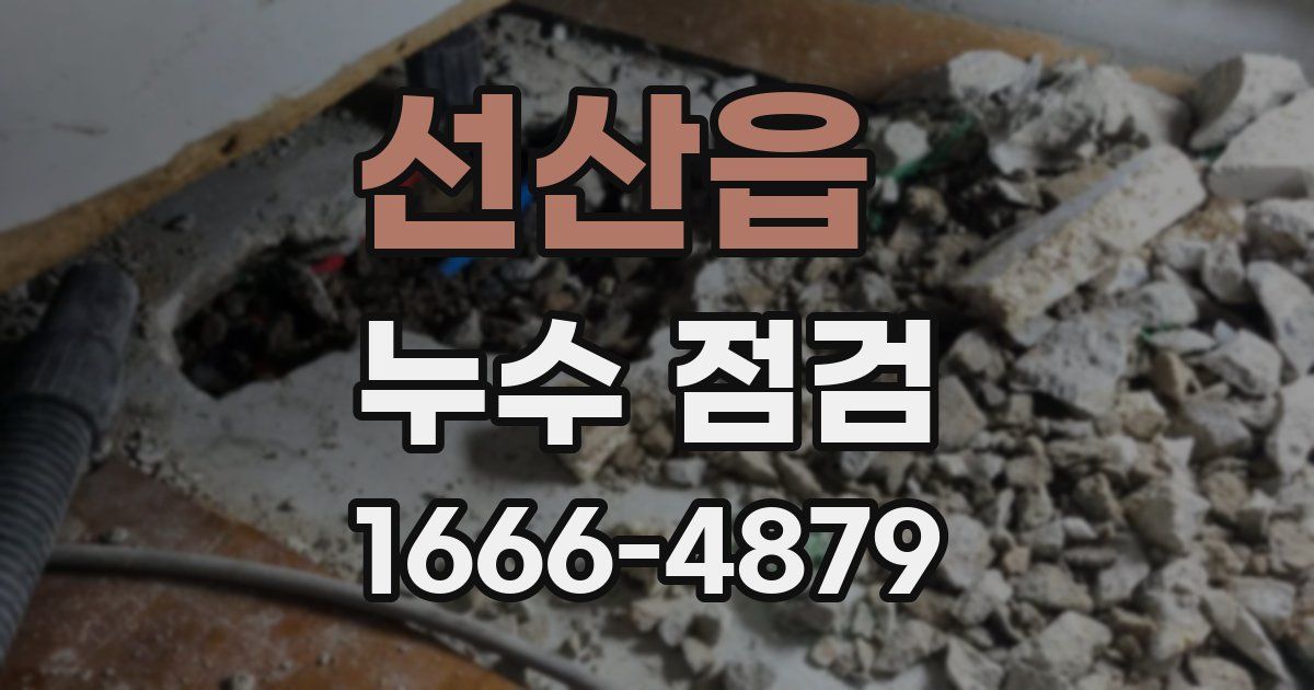 선산읍 누수 점검