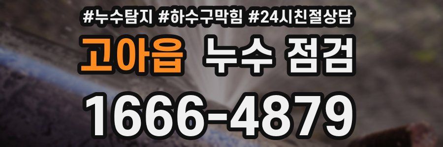 고아읍 누수 점검