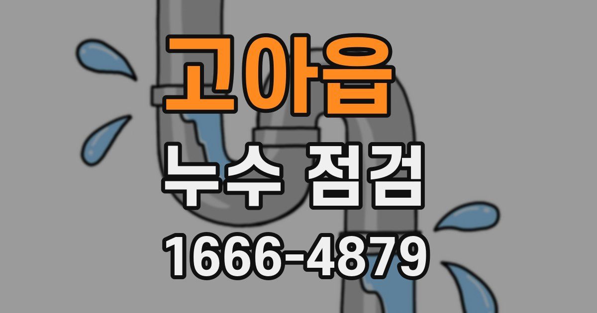 고아읍 누수 점검
