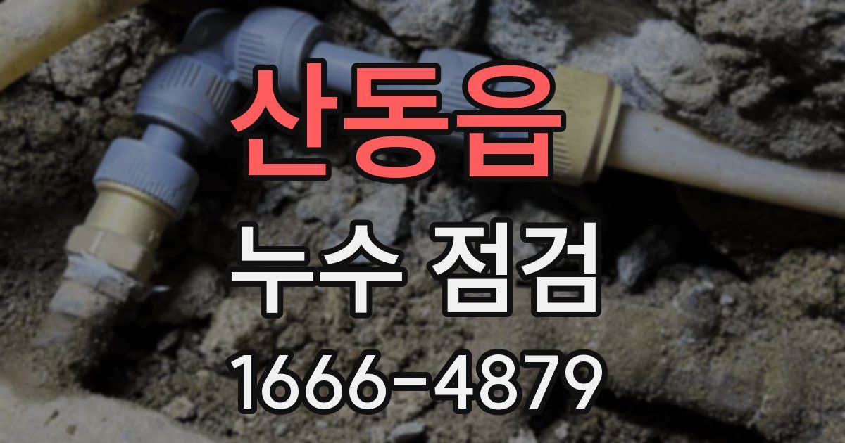 산동읍 누수 점검
