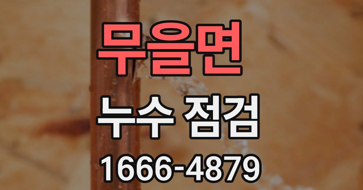 무을면 누수 점검
