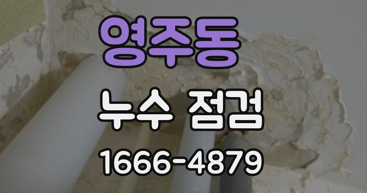 영주동 누수 점검