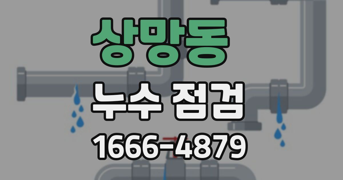 상망동 누수 점검