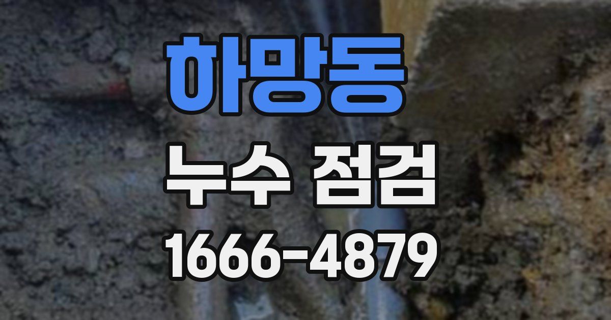 하망동 누수 점검