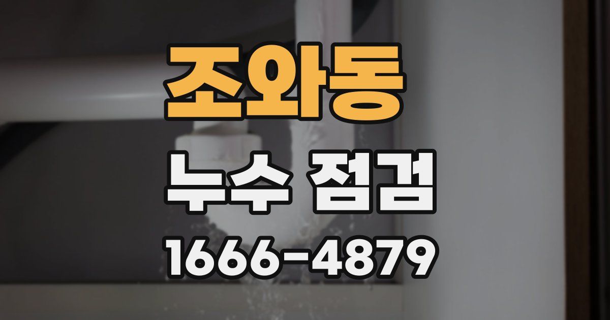 조와동 누수 점검