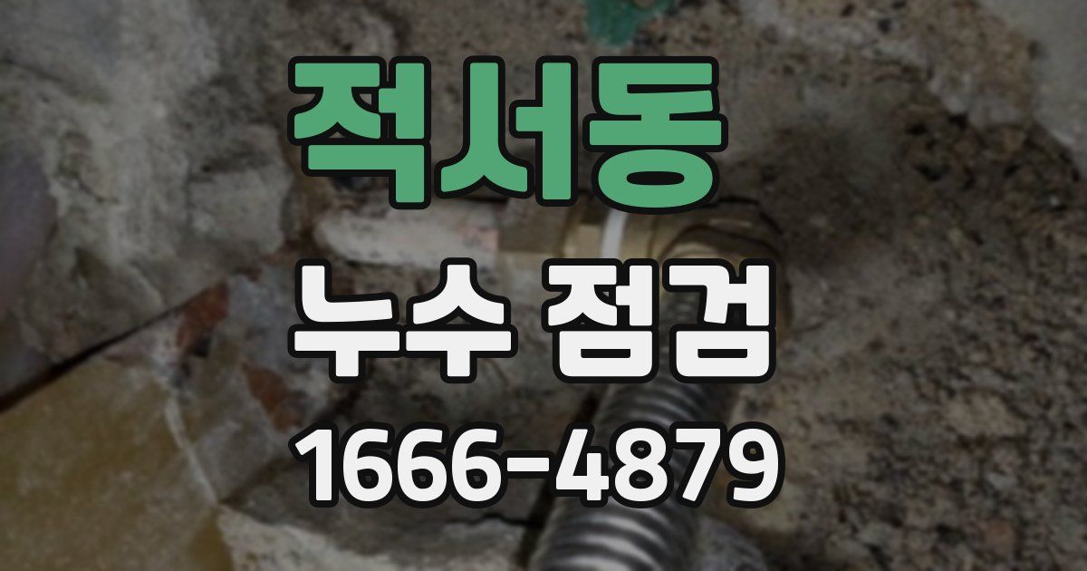 적서동 누수 점검