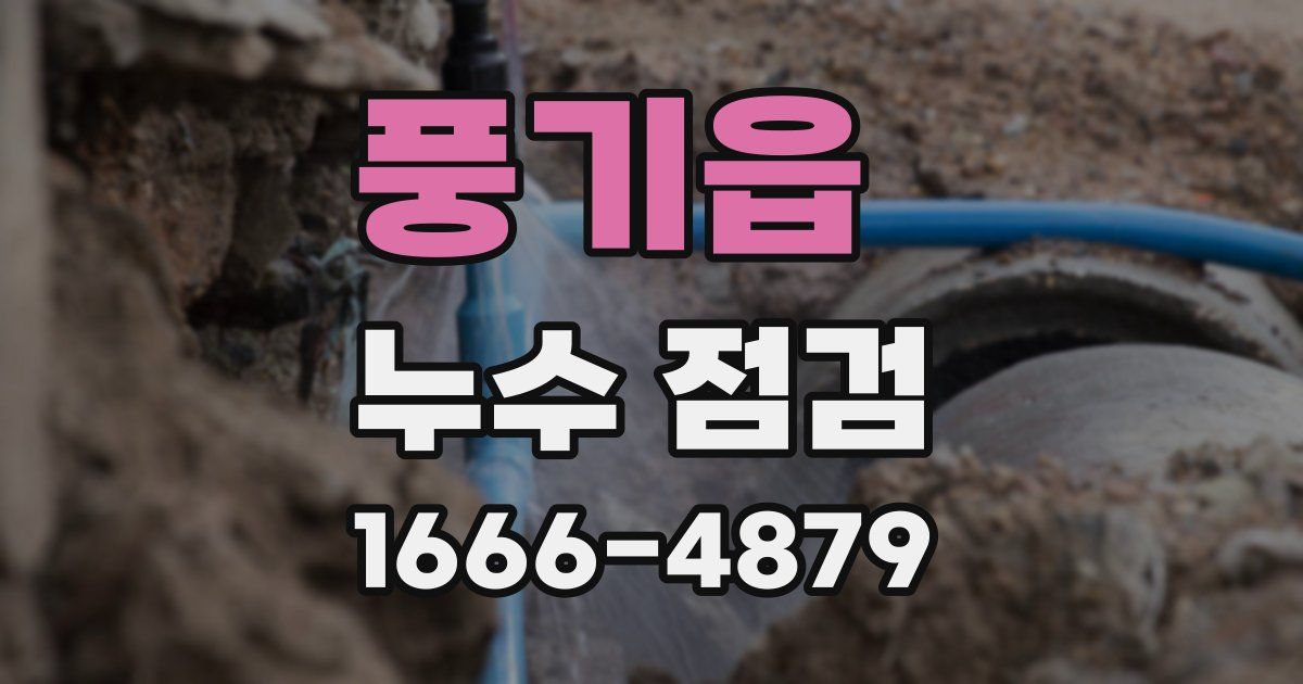 풍기읍 누수 점검