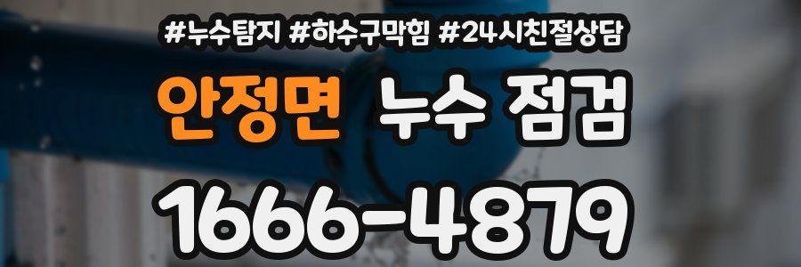 안정면 누수 점검