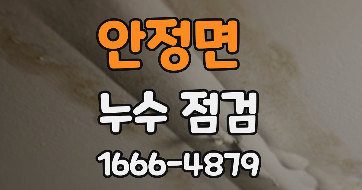 안정면 누수 점검