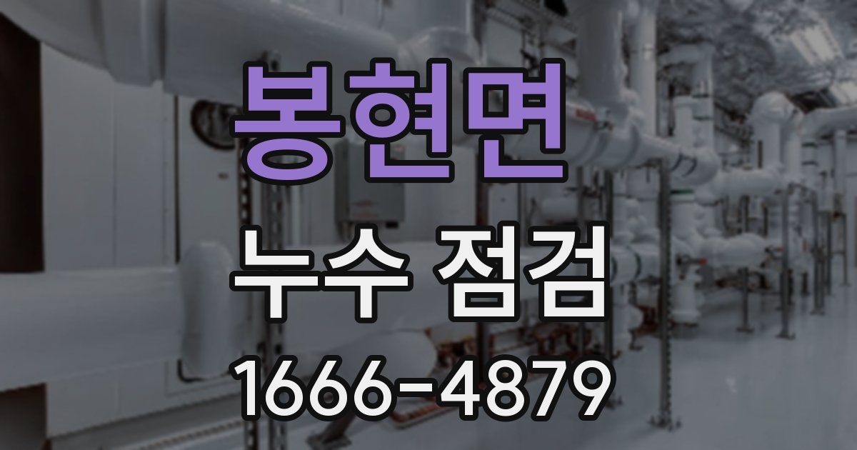 봉현면 누수 점검