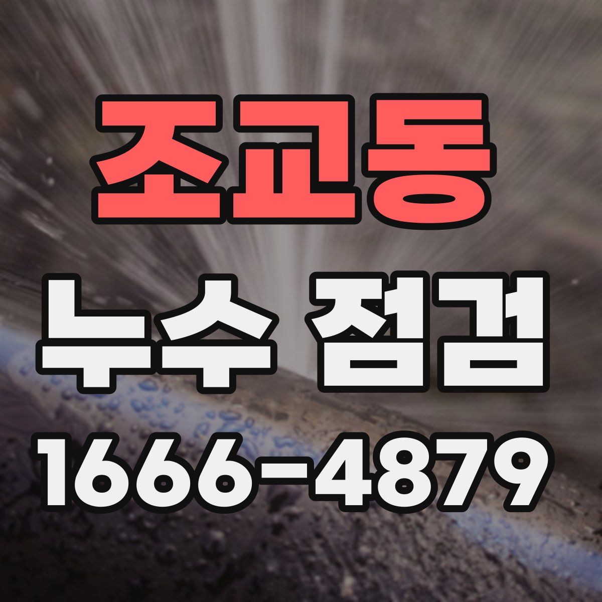 조교동 누수 점검