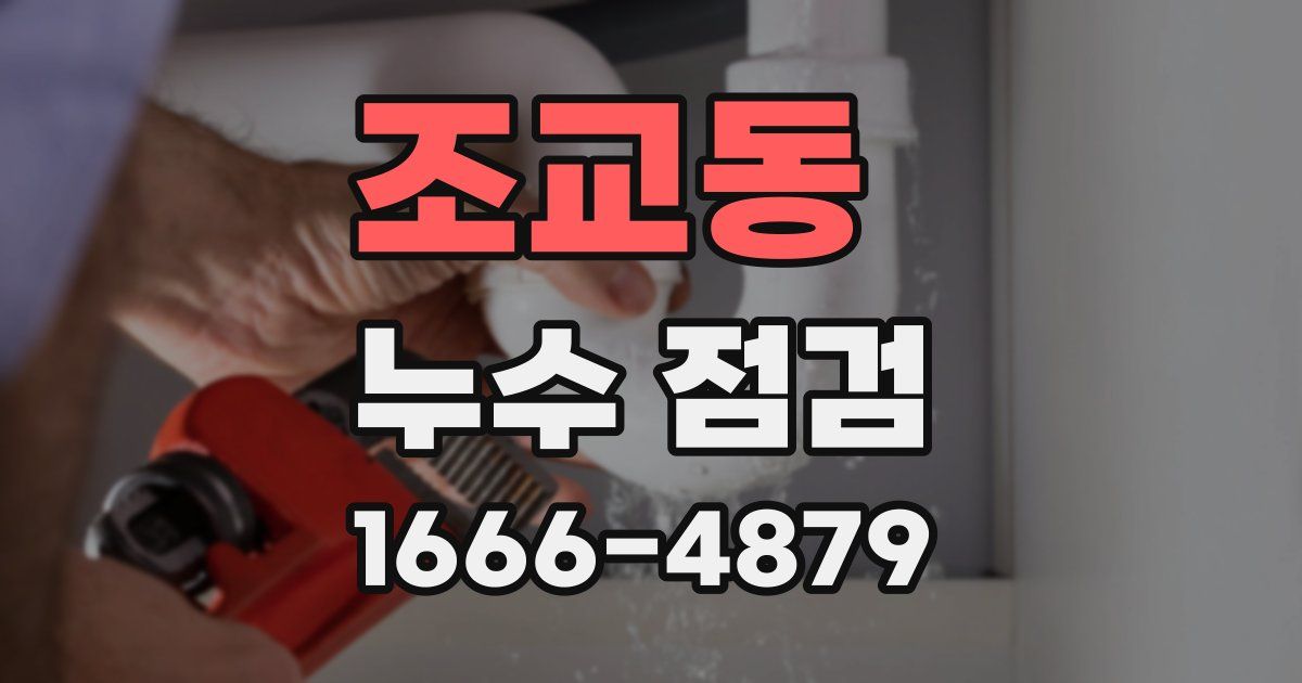 조교동 누수 점검
